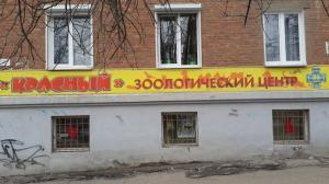 Фотография Красотка 3